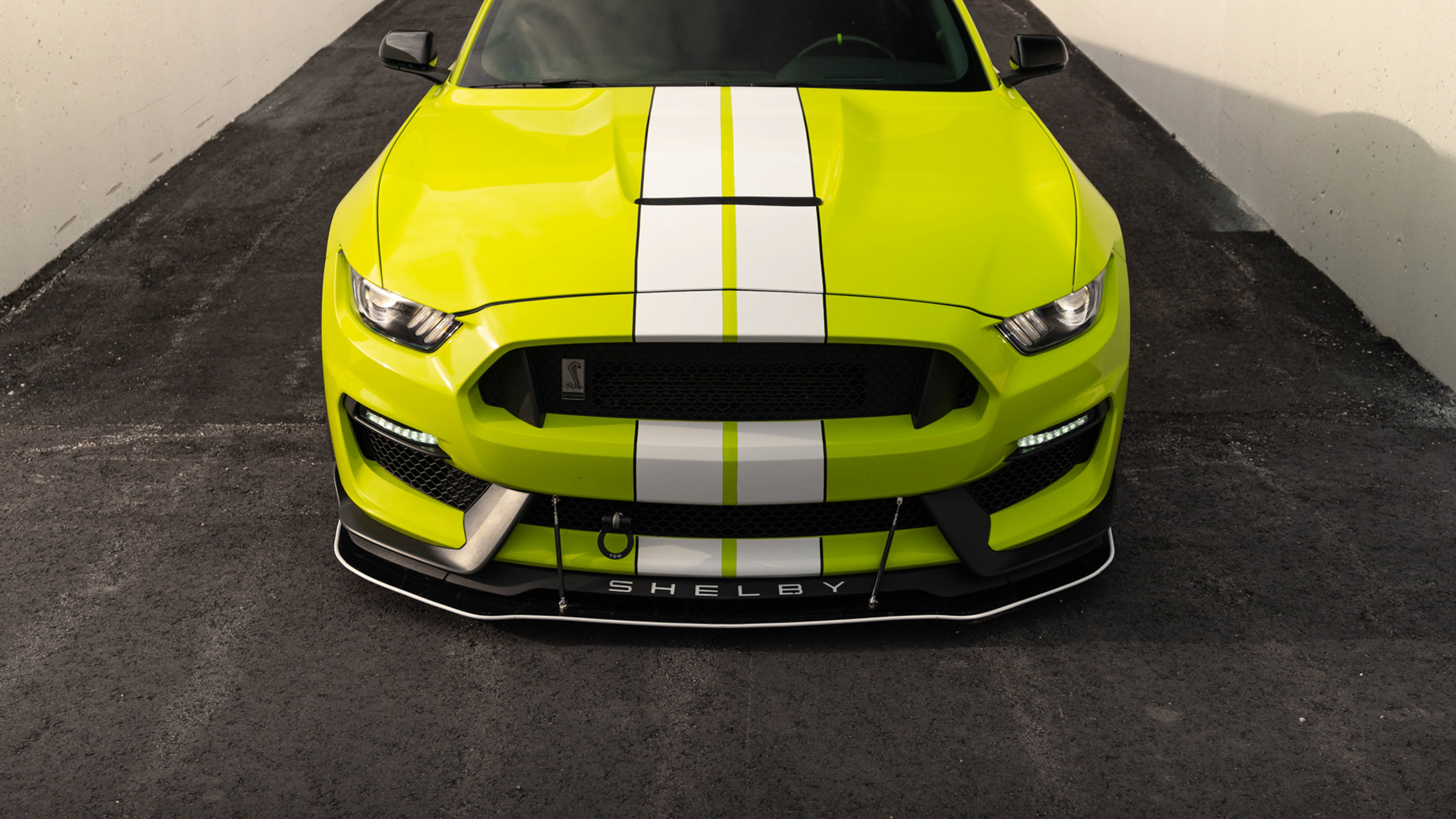 GT350 マスタング Liquivnyl フロントスプリッター S550